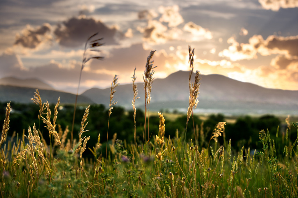 colorado-sunset-picture-id637359720